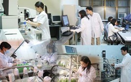 Đề xuất trình tự cấp giấy chứng nhận doanh nghiệp thành lập mới hoạt động công nghệ cao