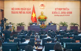 Đà Nẵng: GRDP 6 tháng đầu năm tăng 11,03%
