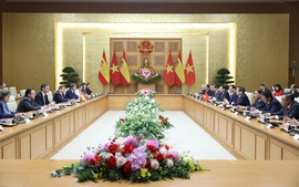 Lập Phân ban Việt Nam trong Ủy ban hỗn hợp Việt Nam-Tây Ban Nha