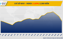 Chỉ số MXV-Index rơi xuống vùng thấp nhất kể từ đầu tháng 6