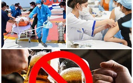 Giải thể một số tổ chức phối hợp liên ngành