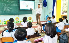 Dạy tiểu học cần có văn bằng gì?