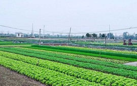 Có phải xác nhận lại hạn sử dụng đất trước khi chuyển nhượng, tặng cho?