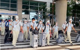 Loại 2 doanh nghiệp khỏi chương trình đưa lao động sang Australia làm nông nghiệp
