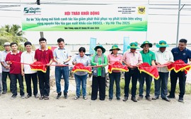 Bình Điền đẩy mạnh Dự án "Xây dựng mô hình canh tác lúa giảm phát thải phục vụ phát triển bền vững"