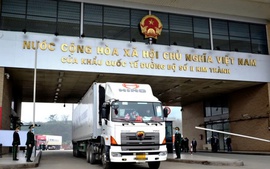 Phân cấp địa phương cấp giấy phép liên vận, vận tải đường bộ quốc tế từ 1/7