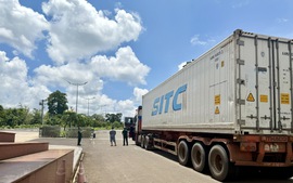 Hải quan đồng hành, góp phần giúp xuất khẩu nông sản bứt tốc