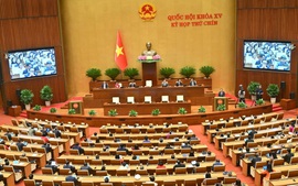 Các Nghị quyết của Quốc hội và UBTVQH khóa XV