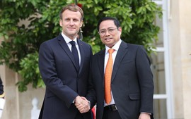 Thúc đẩy tiềm năng hợp tác kinh tế-thương mại Việt Nam-Pháp