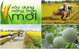 Thực hiện "4 đẩy mạnh", "3 tiên phong" để đạt mục tiêu nông nghiệp sinh thái, nông thôn hiện đại, nông dân văn minh và giảm nghèo bền vững