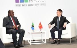 Phó Thủ tướng Hồ Đức Phớc gặp Phó Tổng thống Tanzania