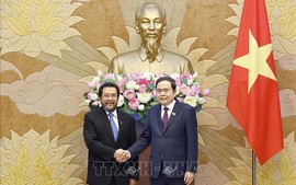 Chủ tịch Quốc hội Trần Thanh Mẫn tiếp Phó Chủ tịch Hội đồng Đại biểu địa phương Indonesia
