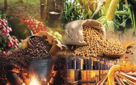 Thị trường hàng hóa nguyên liệu thế giới quay đầu giảm do lo ngại thuế quan từ Mỹ