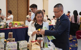 Kết nối doanh nghiệp Bắc Trung Bộ với thị trường quốc tế