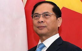 Phát huy vai trò, sứ mệnh mới của Đảng bộ Bộ Ngoại giao trong kỷ nguyên vươn mình của dân tộc
