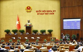 Quy chế hoạt động Hội đồng thẩm định độc lập xử lý khó khăn, vướng mắc do quy định của pháp luật