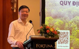 Bước tiến mới trong hoàn thiện thể chế thị trường carbon