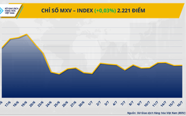 MXV-Index liên tục đảo chiều