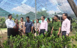 Ngân hàng CSXH Cần Thơ-Nhịp cầu an sinh giữa lòng đô thị miền Tây