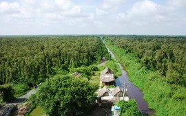 Bàn giải pháp vận hành thử nghiệm thị trường carbon tại Việt Nam