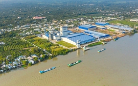 Chỉ đạo, điều hành của Chính phủ, Thủ tướng Chính phủ ngày 18/7/2025