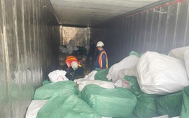 Xuất khống 1.400 tấn chân gà đông lạnh, Hải quan khởi tố vụ án trốn thuế 7 tỷ đồng