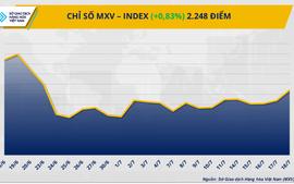 Chỉ số MXV-Index tăng tuần thứ hai giữa biến động giằng co của thị trường