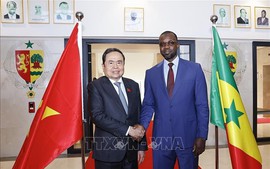 Hợp tác với Việt Nam trở thành trọng tâm chính sách hợp tác Nam - Nam của Senegal