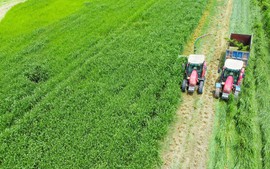 Vinamilk "Mở khóa tự nhiên" tại Green Farm: Mô hình sinh thái truyền cảm hứng đến cộng đồng doanh nghiệp