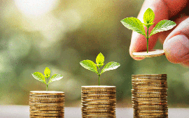 Chỉ đạo, điều hành của Chính phủ, Thủ tướng Chính phủ ngày 26/7/2025