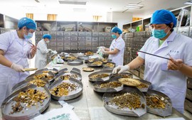 Quy định về đăng ký lưu hành thuốc cổ truyền, dược liệu
