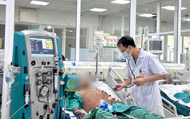 Cảnh báo nguy cơ tử vong do ăn tiết canh nhiễm liên cầu lợn