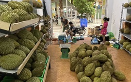 Xuất khẩu sầu riêng đông lạnh tăng 3 lần