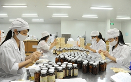 Trình tự đánh giá việc đáp ứng Thực hành tốt sản xuất thuốc, nguyên liệu làm thuốc