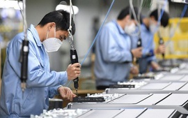 Nút thắt nhân lực công nghệ cao trong các Khu công nghiệp và lời giải từ mô hình 'Ba nhà'