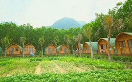 Thủ tục phê duyệt phương án sử dụng đất kết hợp đa mục đích