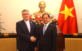Phó Thủ tướng Bùi Thanh Sơn tiếp Đại sứ Iran Ali Akbar Nazari