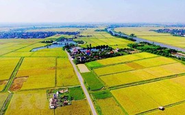 Kéo dài thời hạn miễn thuế sử dụng đất nông nghiệp