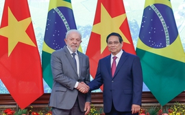 Thắt chặt quan hệ kinh tế - thương mại Việt Nam - Brazil