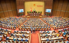 Nghị quyết của Quốc hội và UBTVQH khóa XV