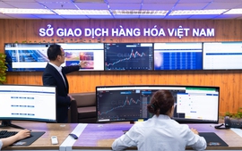Sức mạnh giành thị phần: 5 công ty môi giới hàng hóa giữ vị thế áp đảo