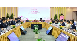 Nhật Bản dẫn đầu về số vốn đăng ký đầu tư vào Đà Nẵng với hơn 1,14 tỷ USD
