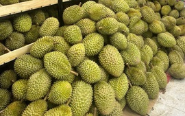 Lấy lại giá trị nông sản: Bài học từ 'câu chuyện' sầu riêng