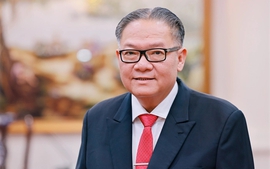 Phê duyệt Phó Chủ tịch UBND tỉnh Đồng Nai