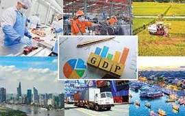 Chỉ đạo, điều hành của Chính phủ, Thủ tướng Chính phủ ngày 11/8/2025