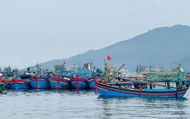 Đà Nẵng đặt quyết tâm cao nhất chấm dứt tình trạng vi phạm IUU