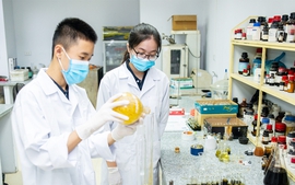 Đề xuất tiêu chuẩn nhà khoa học trẻ tài năng, kỹ sư trẻ tài năng