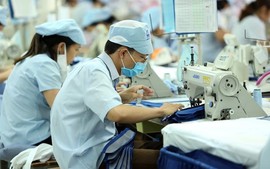Làm việc chưa đủ 12 tháng, tính ngày phép thế nào?