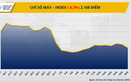 Lực bán áp đảo, MXV-Index nối dài đà suy yếu sang phiên thứ hai