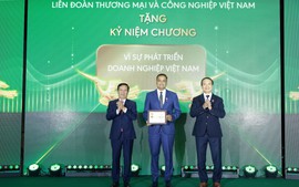 Nâng cao năng lực và tạo cơ hội cho người trẻ: Động lực phát triển bền vững quốc gia trong kỷ nguyên mới
